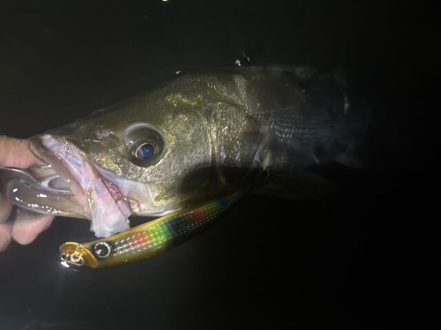 ZP-fPWnr1xoT21U85R25YkCmoCDHQcdF2WypCKAsA4oDsRfYQ8x_wP7HLqYNnXJbYqEVvmP_F6S7j2MJaqhm9iYhovYfvR473VXLbUESR0I8TXYe0v-0cCCyZfFVzeFy6jNu5bRgUMkvYKl