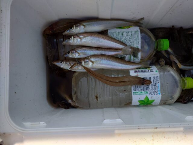 ZrTafCjziOBfDZIrVP4rsM1UNlJSz55Dfzjc7Nxgl6TEFfcZn1qn6YXQ5uNPSXDAGpnpupVdawb__92CAkU6zSTHr1VxeIAFatSKKGxNOOes2RyQkvhn1v34SnUg3HwE6jNu5bRgUMkvYKl3YQCxcw==