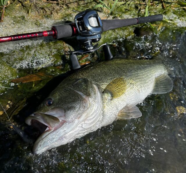 IMG_9965のコピー