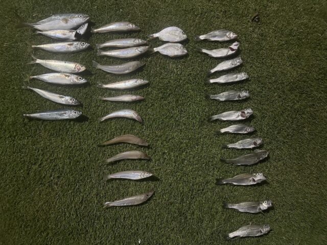 alQsNh0dZSUXEPCssJhcADsol465clnK659vHUsj-unffkF8mKU-XCUIxsV_w6f5UQXfm_srAKz_M641Mi3rP2RvVZGkPSxrFhlYU8dLqSK2L4MmPP-htVrZ9aUgUw8mkpngZXezwyv0UN-p8nCI8Q==