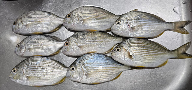 8月28日-中林様1