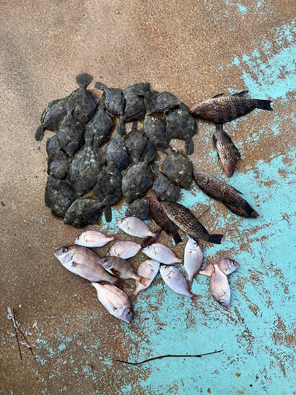 9月8日-外山正樹様