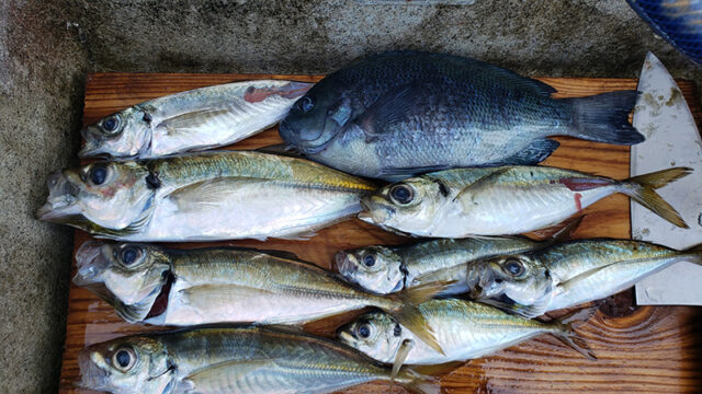 8月31日 七福神宝船様