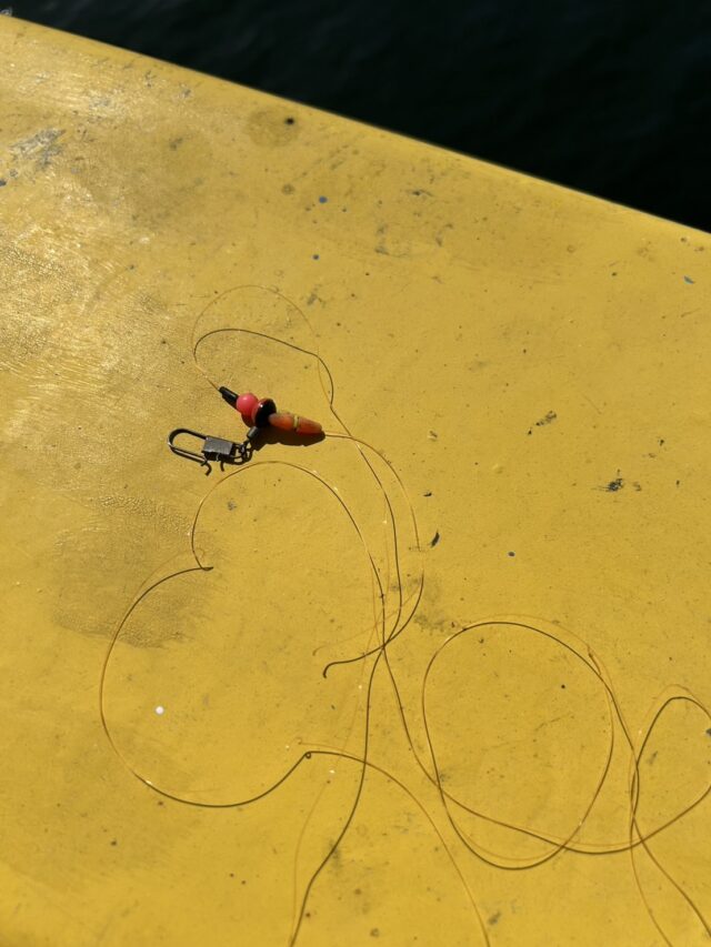 cZSiSwkHafQo1CqhCpsyGUjDIl6htzC4UmmwBTS4sBNZHt1Bf_2P6Ji1TIUPor3RLB5ygCKSdXjbLEXAh3XLF9ff81uRmZML71xBq0r1rIcFO7BevGNh3KiMQqi6y7zhyoEYSNdl5TIBu65cFcBv0A==