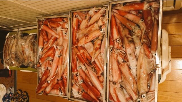 !cid_190df1e3da6ed7548513