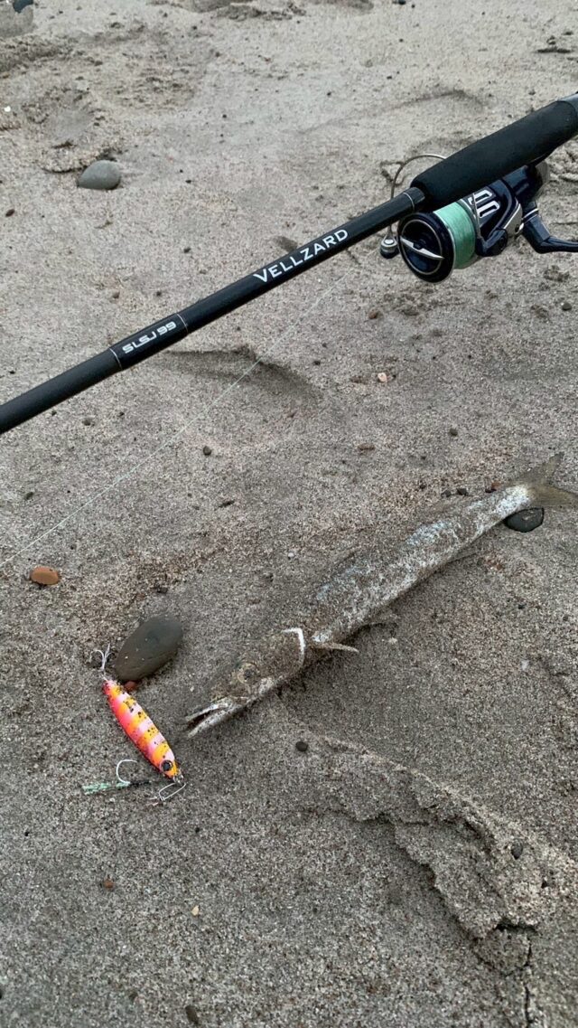 duFuFx21d_K8B7apz9LeJb-LN9uHPpRIlke26nxA6JRH_1Rv8QRo5mSHLer3CR0_5Vl6FD5XBhvTOYkIkrDzxHIXVQD5KNipxkgnhfy9ejZYZw88414_YP9adXVMD8Ls6jNu5bRgUMkvYKl