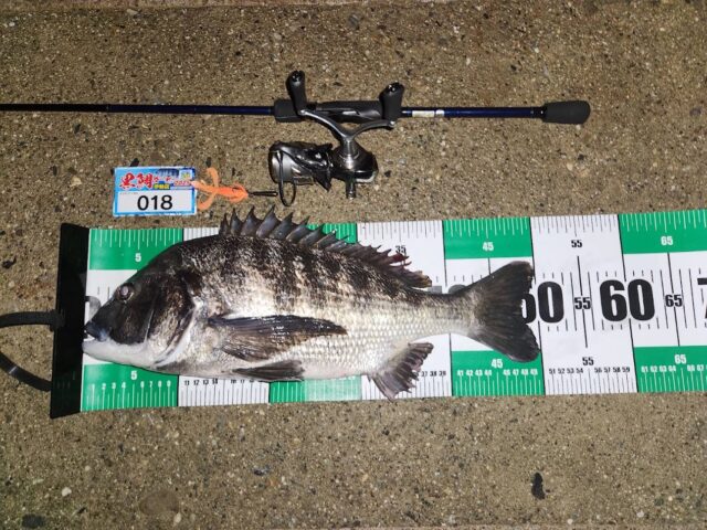 018　6.18五十嵐祥倫　50㎝