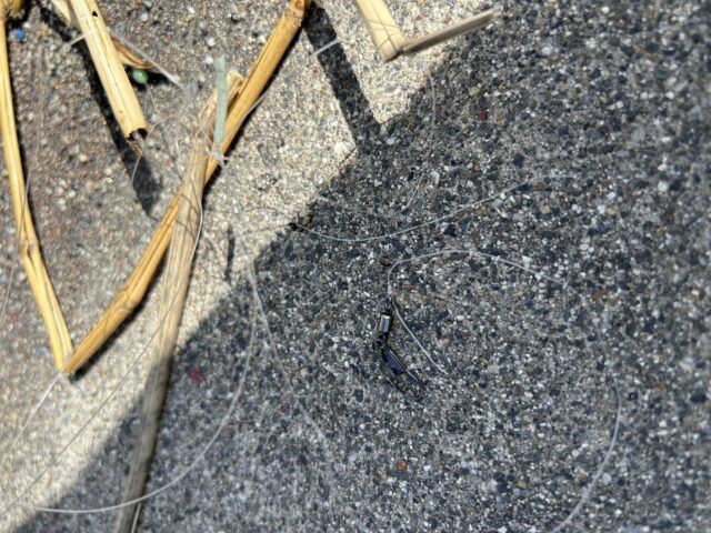 hH_mRMzcaFBMqNgXCj0WdZxaCf9UAtg2M4_-fdhG2Q6MKdCHjJr1SiB_qzJSErmpzkDiH6ziJ1H22TY4ruRbfCgO1tdPkoTTaGVjtnXYZuilNQvxtzJek1P9JiFetW_bxjd32DvNFM_jZ_FnFQeU0g==