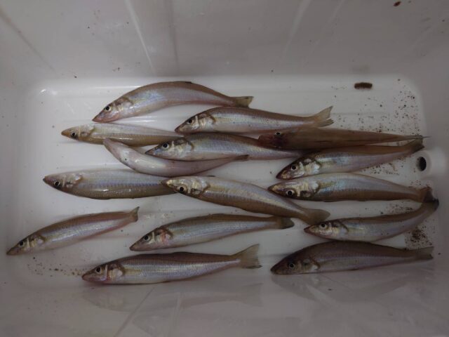 ivyGzCBEjHJ79_PqoYq-ZyZ_Cs9rXF3aq5AmImZuJ0GUulpk1lhVZqBDSNehXy9Rahzr8dogCvPQ0eiXOdwySrbMlWCvoVGgCB0X3QP3ZzKCn6cTqqaTq7DmXDa_6-o8-Y6RmCFYWj9R9NUu3GhWkQ-640x480