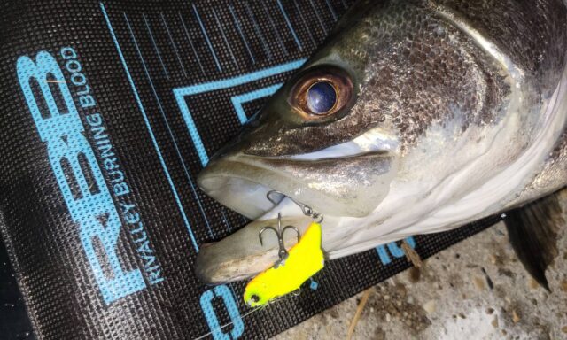 izn0DTGQyjbJ62-1iC2rIE5QyLEIbhHbDlhPFRUuMVrBJcw7zevlpKncVdtuyAzf8O2rz0erJKjxcfqpI-lhCnPoAWT8LfK3kOqkFf3CyFRJe9HlAFLSgnZ46KrdhRegQ0mGTKiMiK02azDH-NEk1Q==