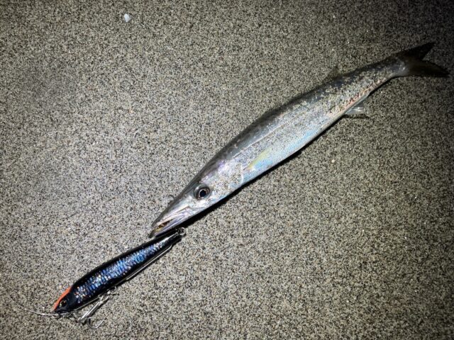 k51JYDkc9s4LeMQa5N2bzVRaoNEj-56OesewhwGj8LCJ1gwSazoA94Wr8uxzWaOGxPLSyK3PBIrMCwQrVfCBBPp4lW77lacl_08NDlb4SwuGdB_B5SaSCIN5VUDWKbn9kpngZXezwyv0UN-p8nCI8Q==