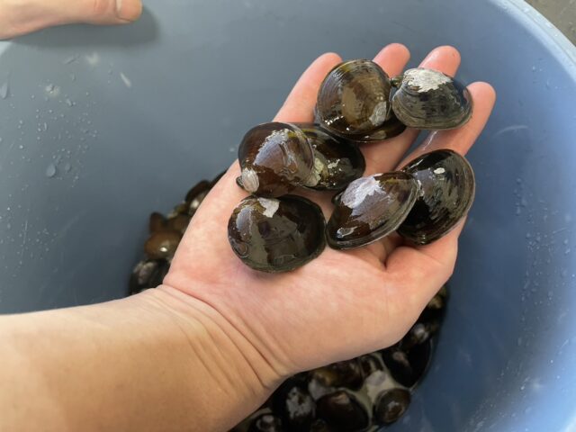 line_oa_chat_250901_162243