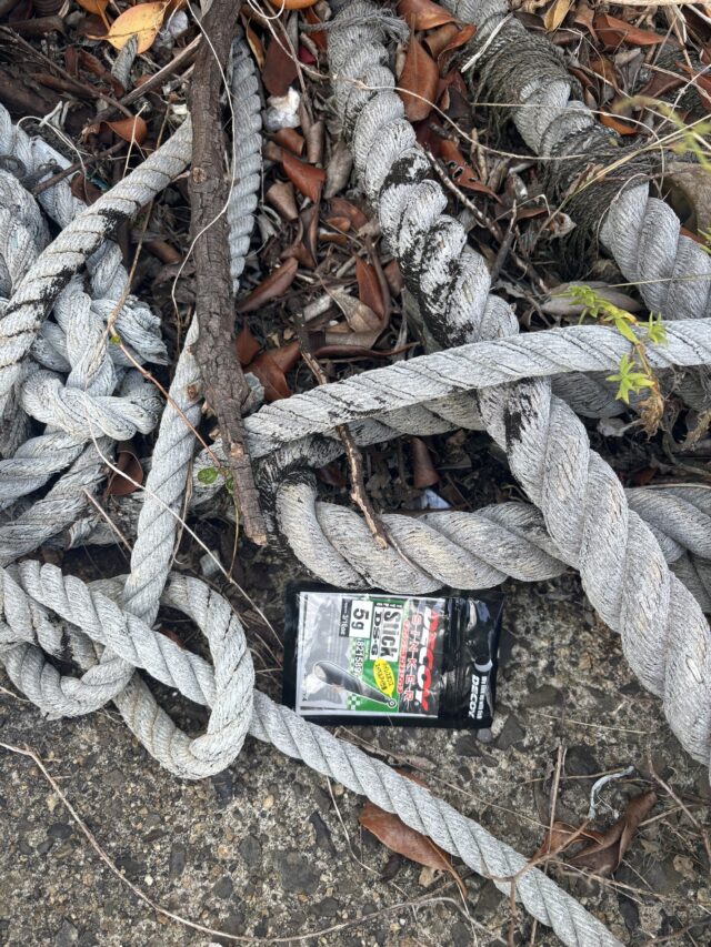 line_oa_chat_250908_163309_group_1