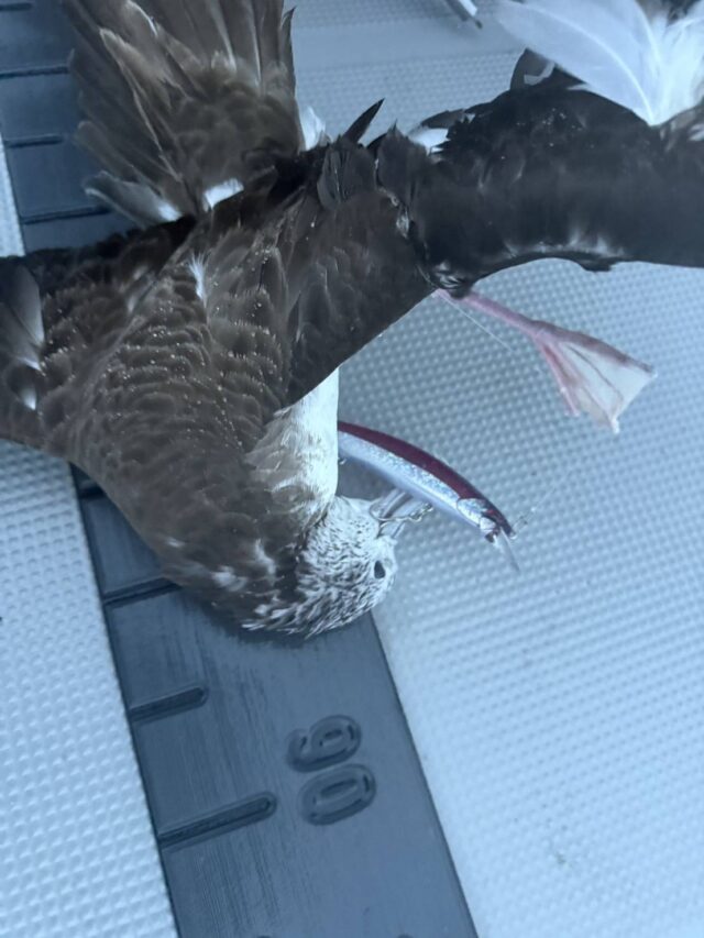 line_oa_chat_250912_202215