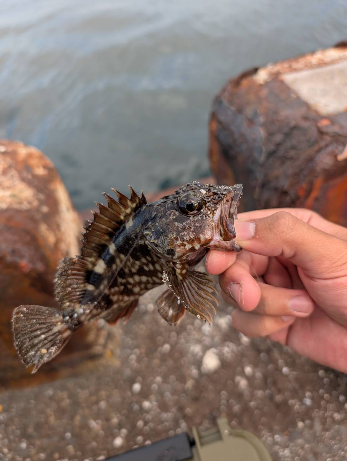 line_oa_chat_250929_152843_group_0