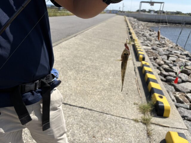 n2OjB62NQGfBGhfwk6O4OPOlrM9qtR-ikb5T7jITHxXVGxZ1YKf8mLXMEk4jPL1Vav-RON8NUmaHkRwYSRnpm-IpnyCOeh0JBmEoao1huFun4ItgBQGN5UoL8HbKF-tojgTjgTGATm1_gXXKFHhmhg==