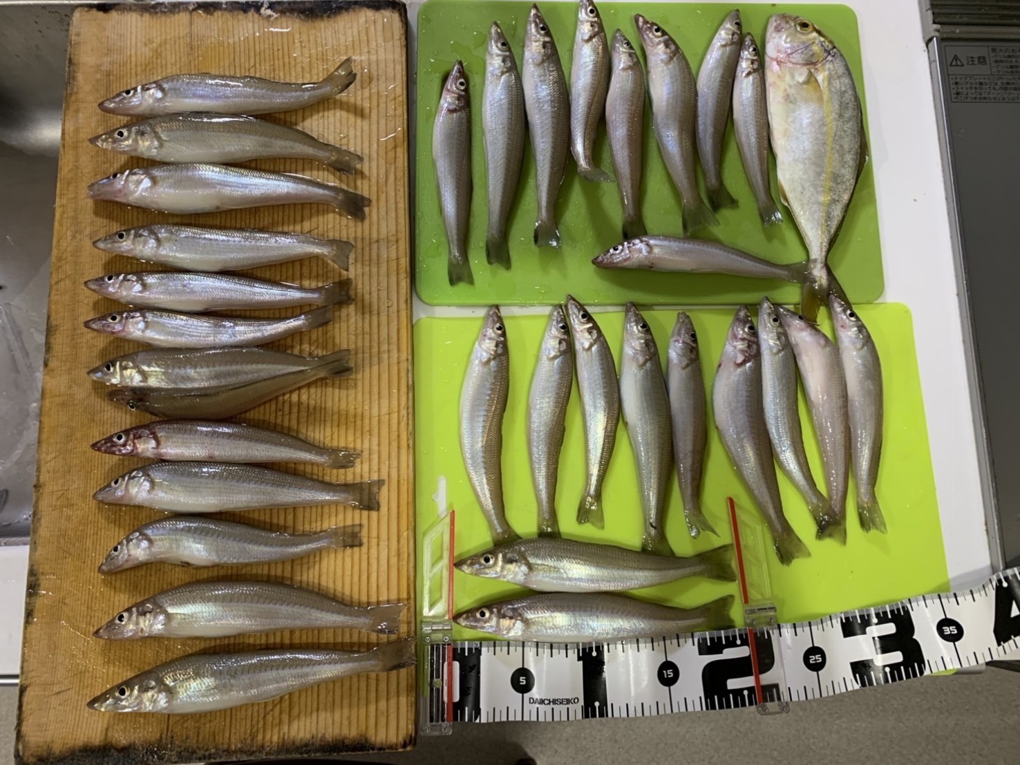 qyfjlwxNqE-ZgfE9ns_nxFakwxr13D1Soolm2xCBsaf6oUv5mmcvTJekDZPgtJjSwfb2Ck6vobrpqCmMswB7BkwIeI6RsvgA6SaPs6EJK4ZgrBzyGfHmEFQR67kzZgBpxjd32DvNFM_jZ_FnFQeU0g==