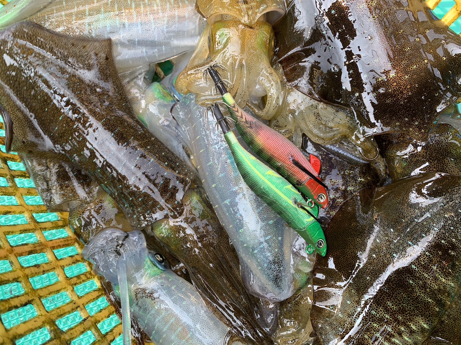 tWWns4YLmNvmbGvWpvUdwsT0Nahd7OcdYO_KSIAmKlJvAUH3xmHKYbA3KAxwhOwrz-OjDK707TG6iMBjV8c4ohyAVqKTDgqjY-_bKl_Kx98cIi-SPHldwZKqqteGY1R9Q0mGTKiMiK02azDH-NEk1Q==