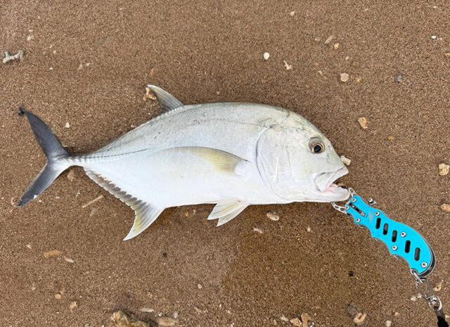 9月18日-小川　浩様1