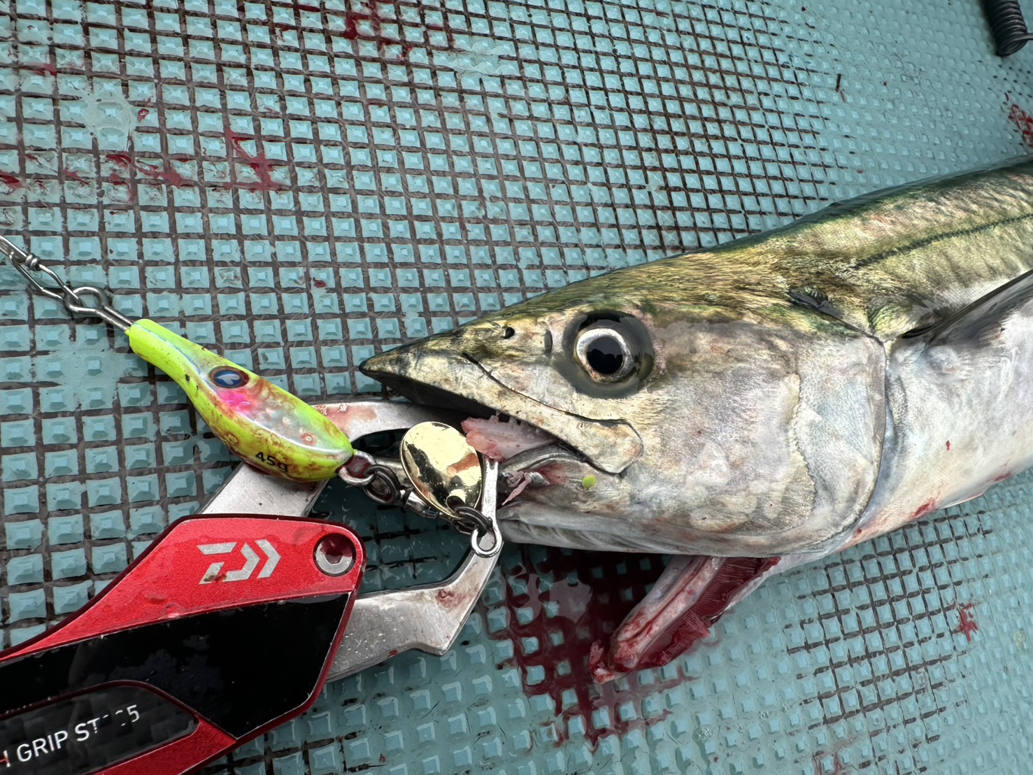 4ja5ZCuuVyFLryEm7bnHQZrVM0Ncf_sC9KNsuK3yuX0nyyOF-uZikxtlQXbugHCK0bsZNKVRLB5W6m5tHGN7RqNLynxWCCTxzACWZd-_wEfH94S7o2HpuvOK8cqIdcl7yoEYSNdl5TIBu65cFcBv0A==