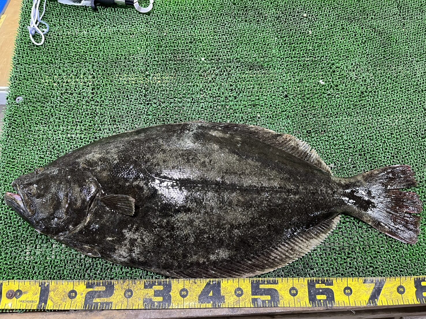 576eozkLPWcqKg9RWn4CfOHchDO-xtfjH_EVMPx9RN1HIYu3fk58M3Hr_T98ZRpB-DGe3IK2z5EXSs-fGX41RbBST4pR5DjglW7ZFpwzc0zC6yq99q7C-9L-VQqHx0wYkpngZXezwyv0UN-p8nCI8Q==