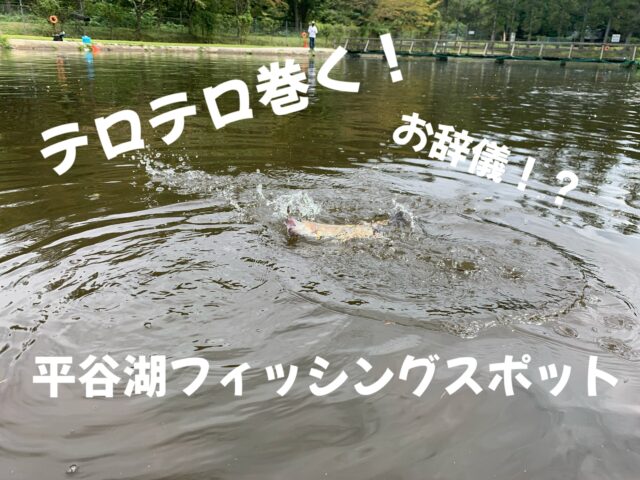 Processed with Rookie Cam