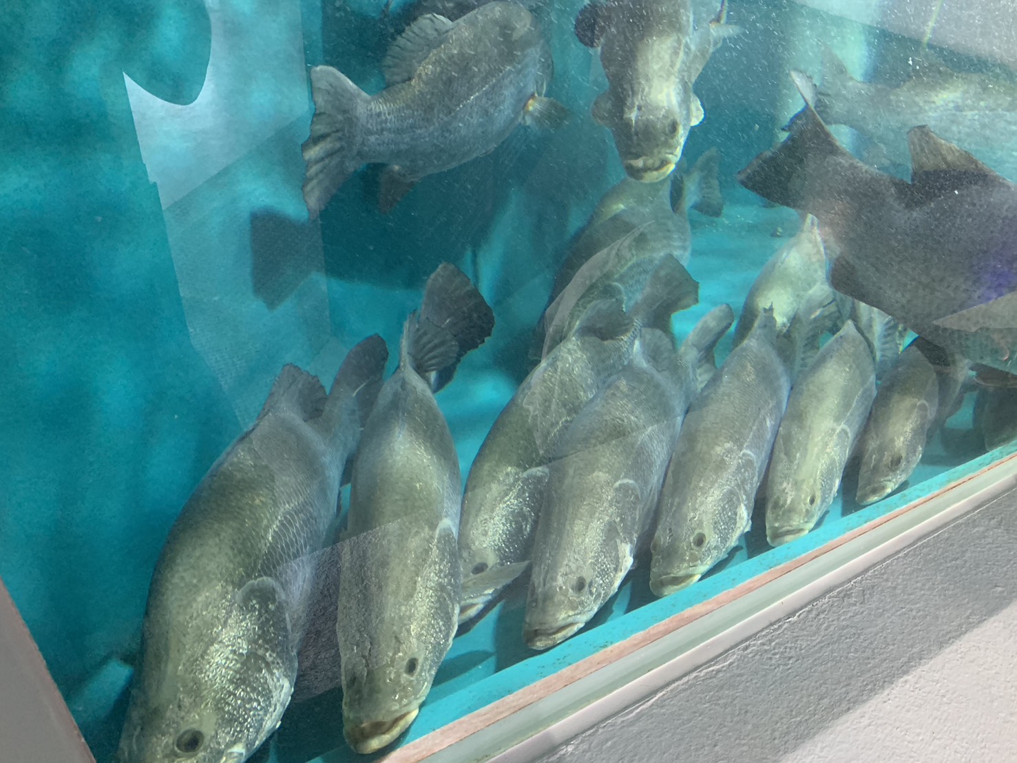 KlgeiOfuthzDl3dO5a3PEc4GlnDyssOeDw5AxPsGBFzlBuzGK-iFZBzozi-pwvrlwr55RsHrMr_oln-DLHYdRdl6cDq52O5zSzvjT3YxnkB7eMyoFiw7lr0cDUGi2n8-CPs1Dl06N9VAVlxHgFo47A==