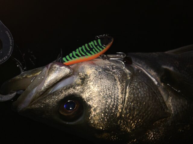 Md9LatQu1f3ocIqtA-EzA6gUGccjn6ZJK9sAEXuO2gSsown-Wuu8y1huTwVC6wfvupKIcvMSFWsXU7egIg_HwuyHxbIZ5dGjBH9Ff6h1XqQnKKQUfDjbBYlWhde2kv9OdWH1GW1Hz