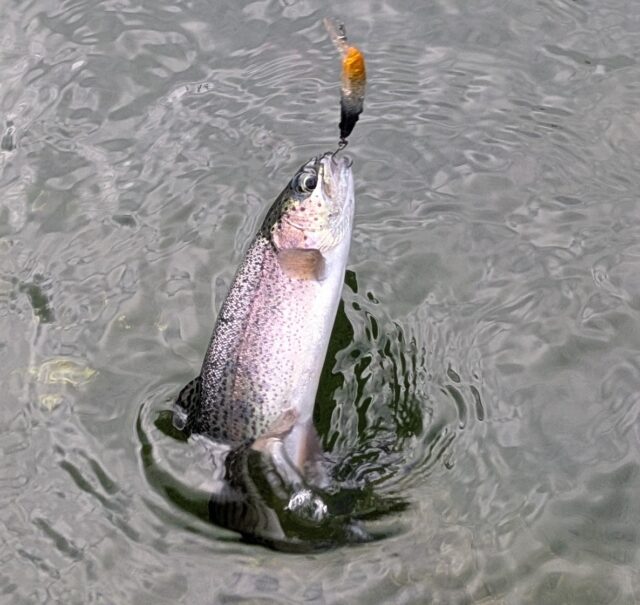 PXL_20250927_233356591