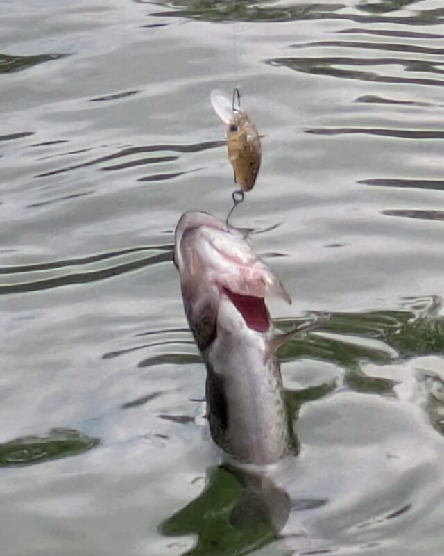 PXL_20250928_062129139