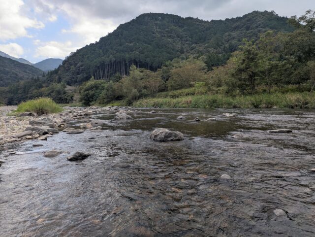 PXL_20251007_040337220