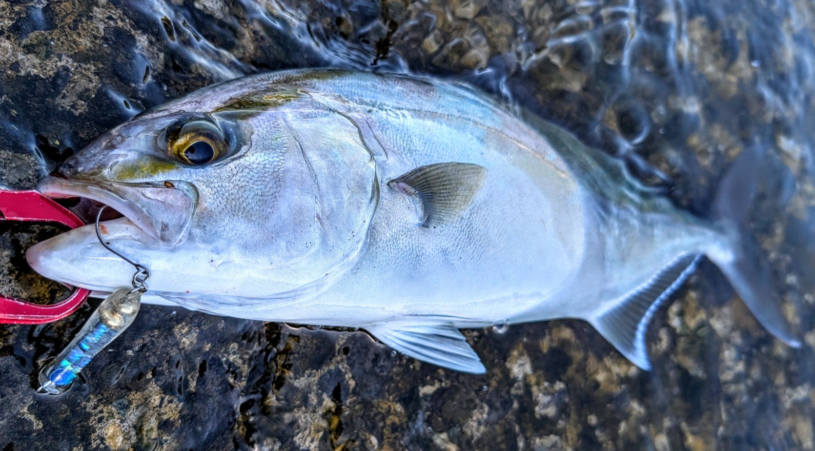 なんてヒリヒリするファイトをさせてくれるんだ！