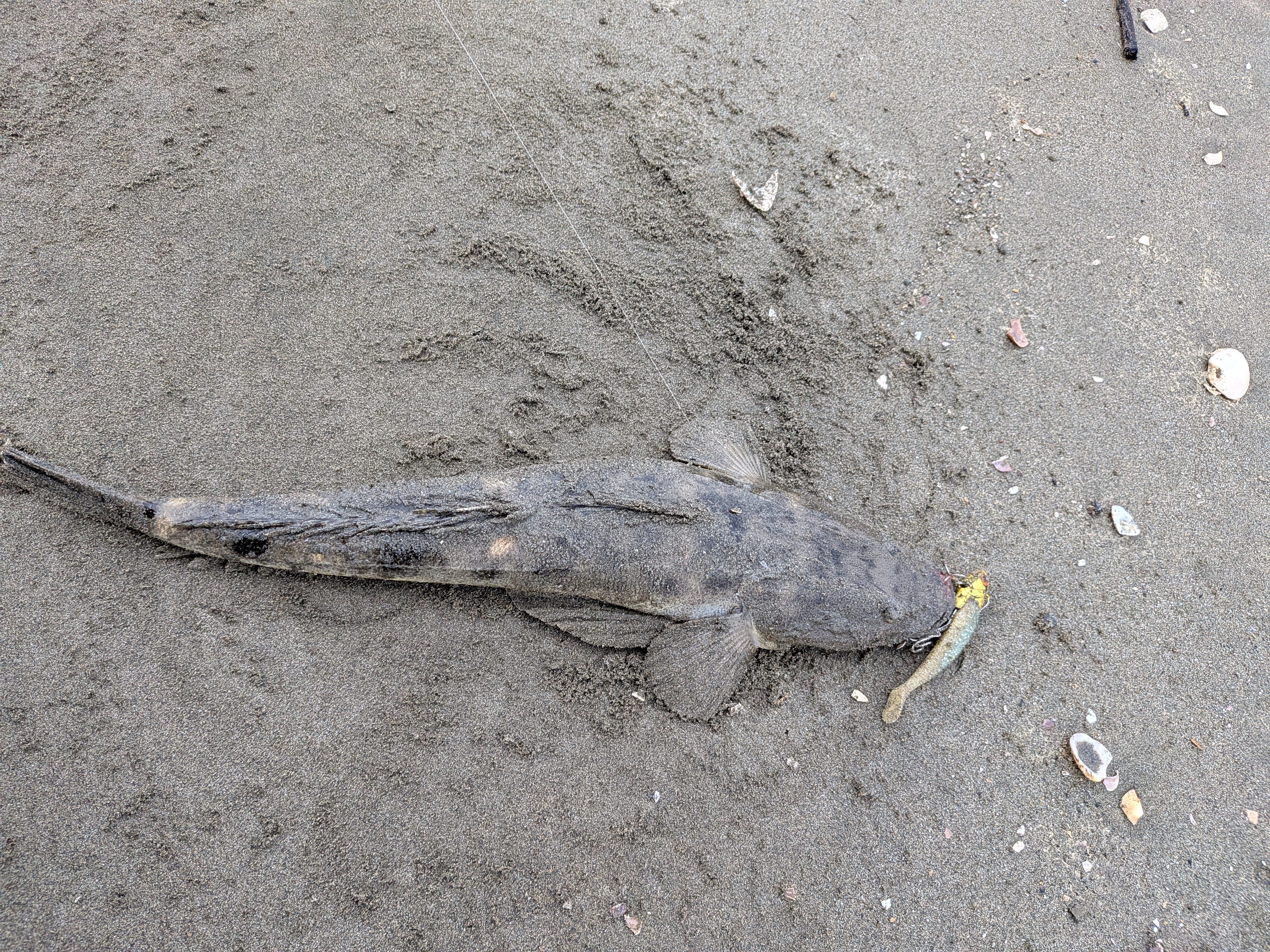 PXL_20251009_213401880