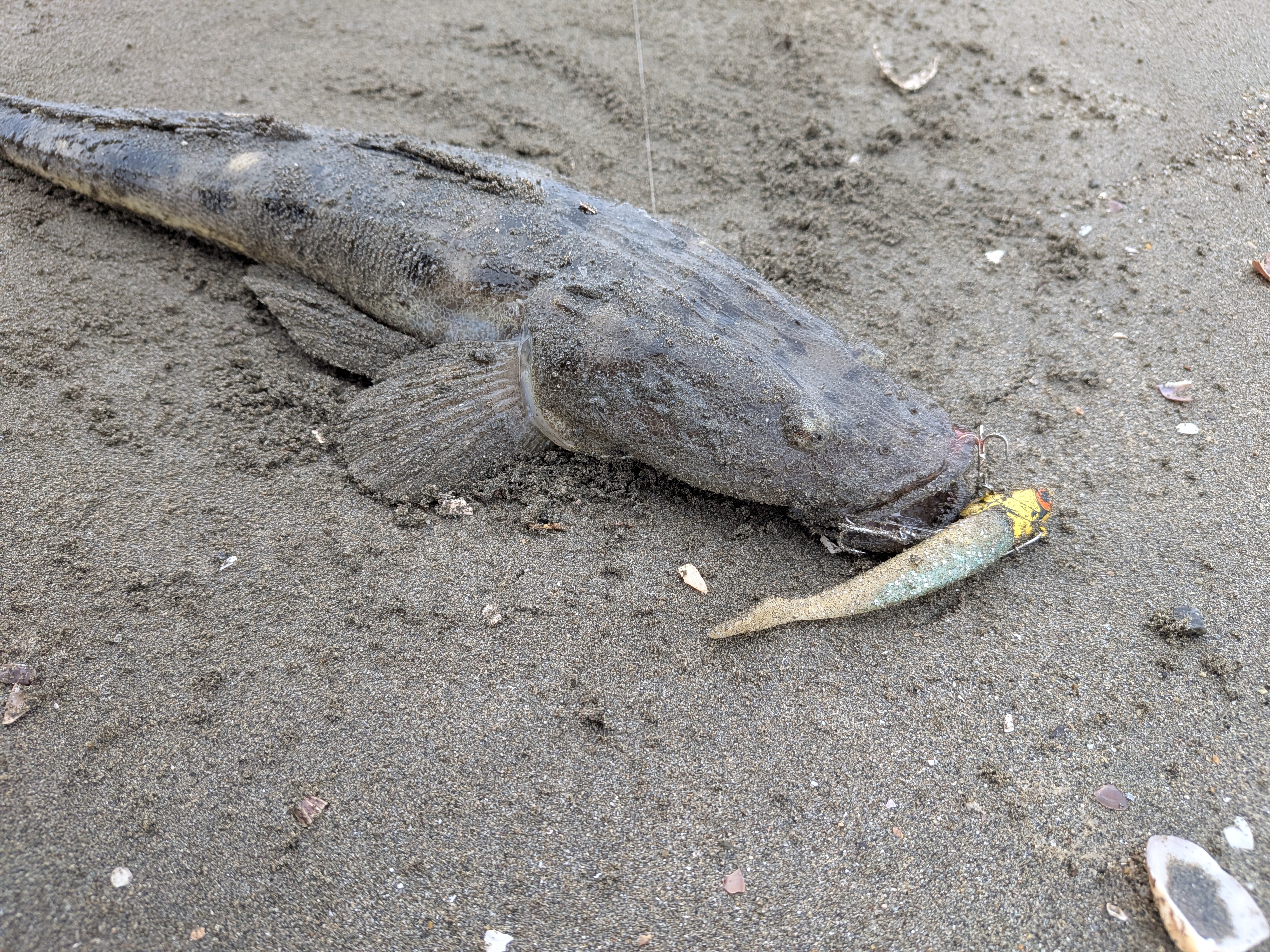 PXL_20251009_213405955