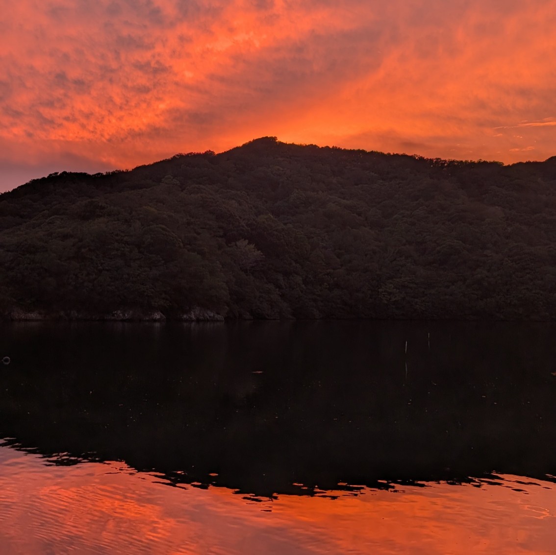 PXL_20251012_083206871~2_copy_1134x1133