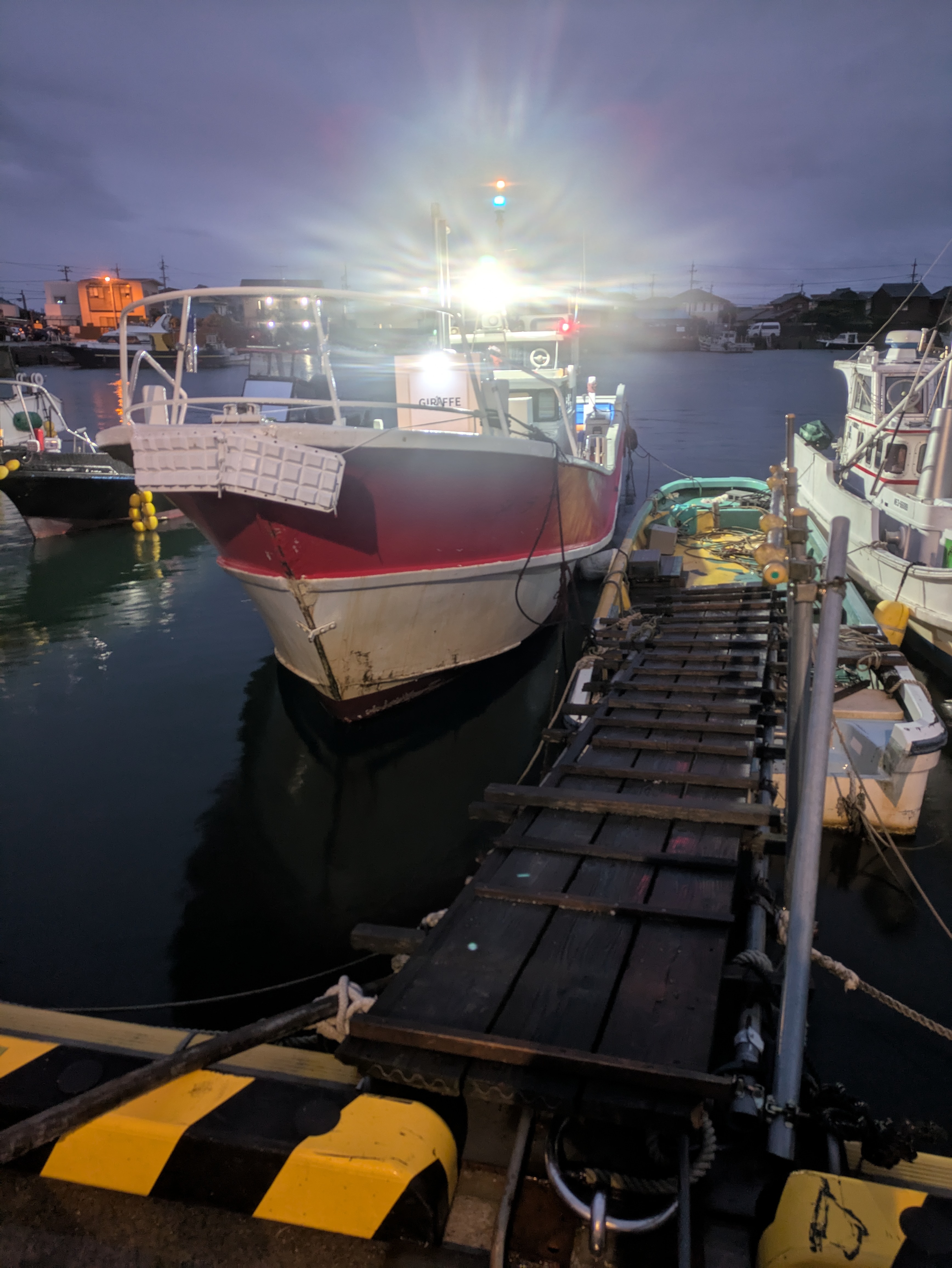 PXL_20251026_082621752