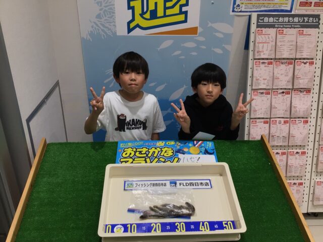 RWn4DazCO0Uvd5NPZBN-W-K97_-FFPfaZvaj92BIvc44u7SmYksz4klvaY_jgILvqX6Sbvo0YFm0gq_ZbiD9LIgwLH0N6xhVaC6EfcL2gP_4OcmD_hy4YdHvXWsnj4DQCPs1Dl06N9VAVlxHgFo47A==