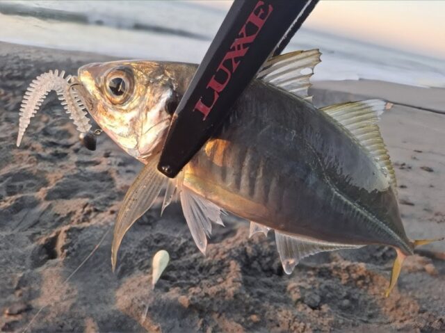 Screenshot_20251017_123155_Photos~3