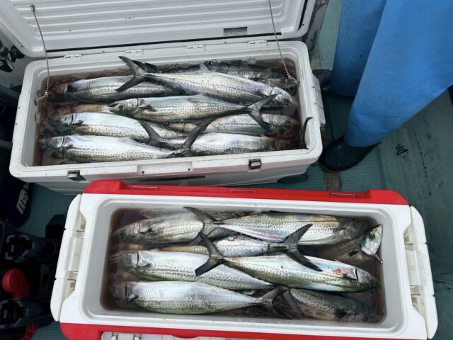 ThgegjJVzl7xM8jdnuTbLqt815dsPtpUFvuIApWkGx-2JDopHymh3YjPMXBHaAuR9TKi3Hl3s1mqysqJehSDyX8Etd3-XMG0_h2oBbO84mESlZ40iml2-c7J6Lu_L7JtyoEYSNdl5TIBu65cFcBv0A==