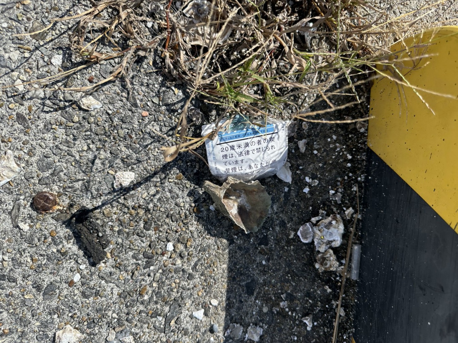 U5iEbwyhKuorW5TXM8F9YkJRtyiYph_6E_18xbnXcEZRwfZtg36QTni5I2ep9Ghlg-7iY0iLRhlqfMNK02rxXXen7B5o1phc3pm963LM4orPzeNimGsLOqBlr0Jvt6gZQQq1-WG3eFy_I7uXKcbEYg==