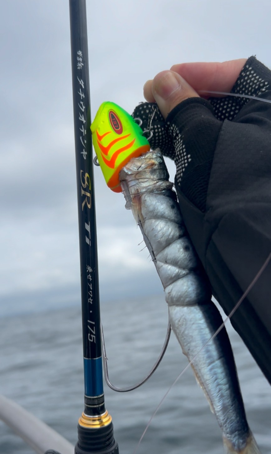 10月14日使用タックル