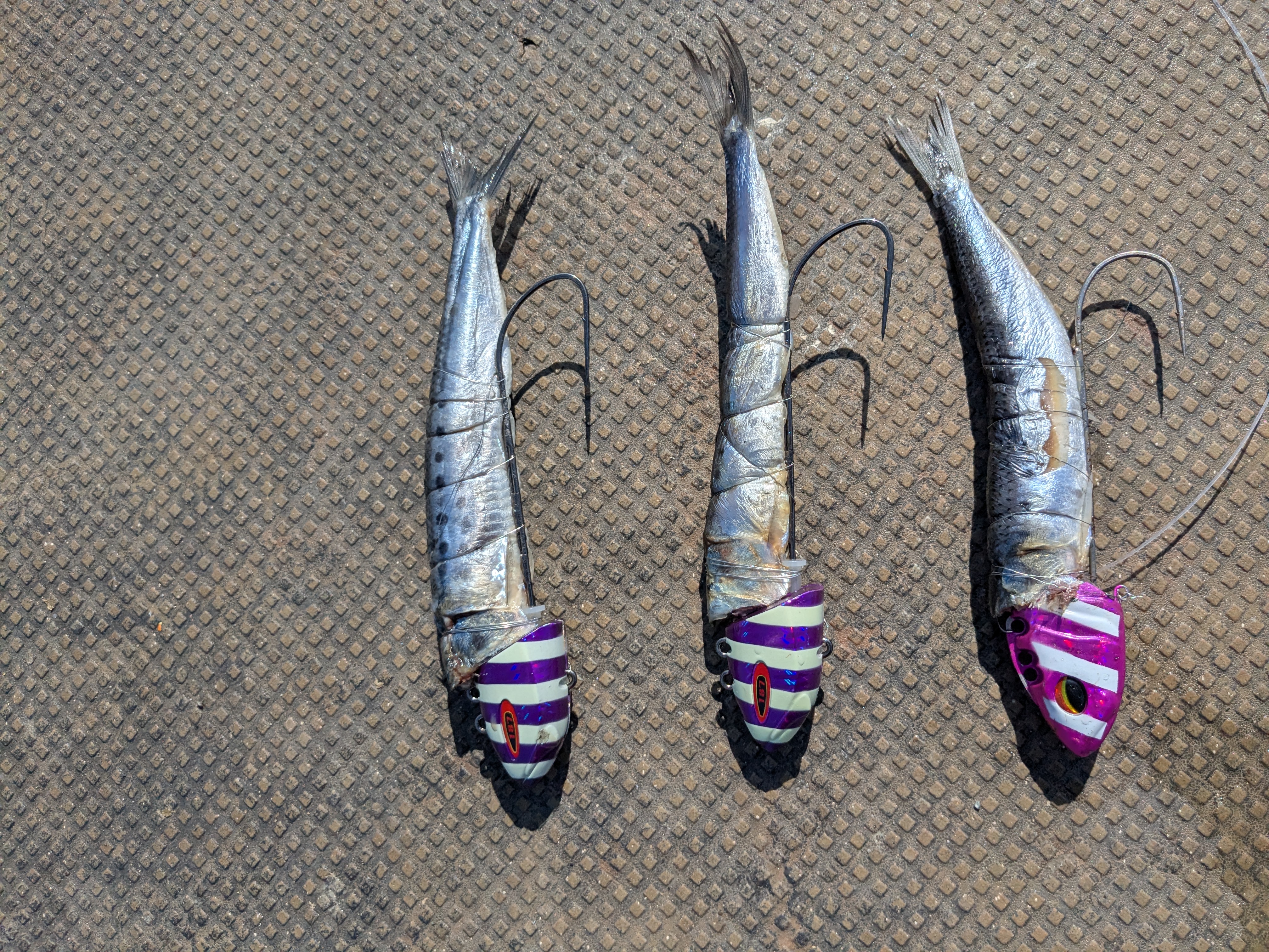 10月太刀魚テンヤ複数