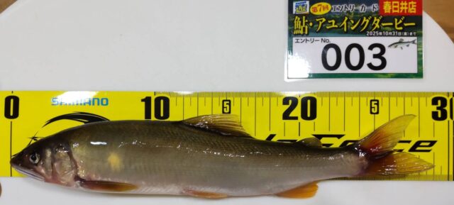 dIWAxcVzcOhHH7dj9OKq1AiuoFH15CiTo3Tpgsy-xH5oU3lzCAyT32zx4BuIbAYkx5Wjl5AYGhTfmBlPNTuI2wpZTObwHnGl2F2dwwWqdINBlAdHlDE19WorBNE2KC8WPGAWgRoNfwFFSQkqTkXAuA==