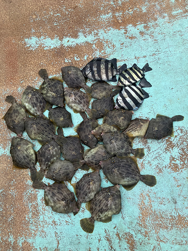 10月7日-外山　正樹様