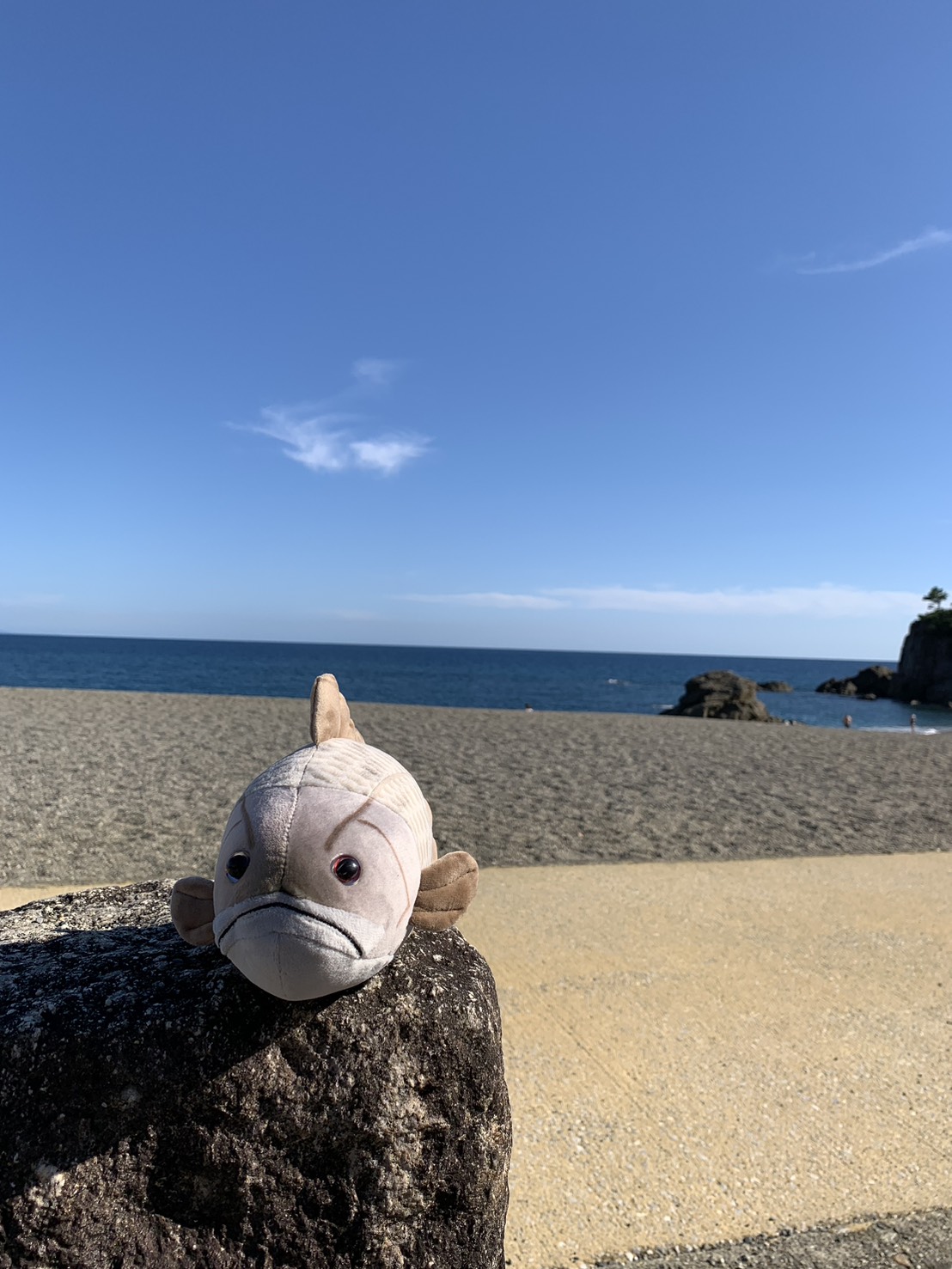 fzPLKn7AK0Rr3tognOfspA2Nk3EVg8o6EhjWtSAuEO0olF4RiBm3hnwxpJznJpPh5X_56lMkaUmYierkEN-nNnEt4Lv4L8wlgN9D3OU7gOXZa8hQSO0ZQJyyn4ZhLHA_QQq1-WG3eFy_I7uXKcbEYg==