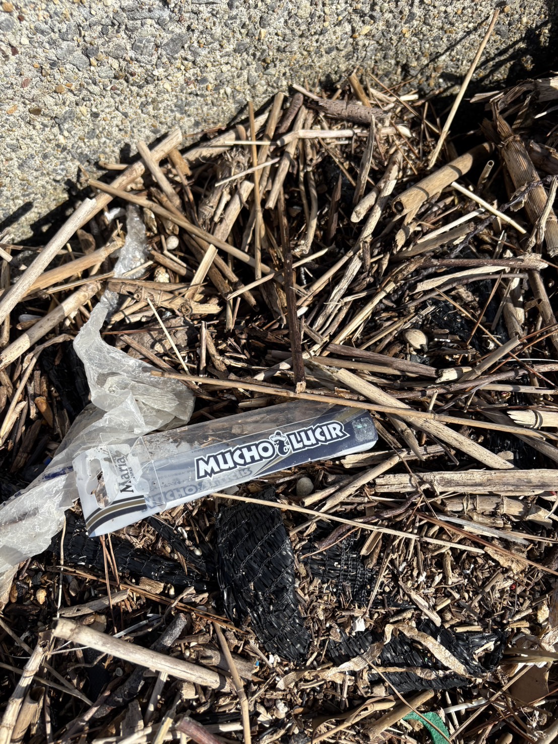 line_oa_chat_251020_131721