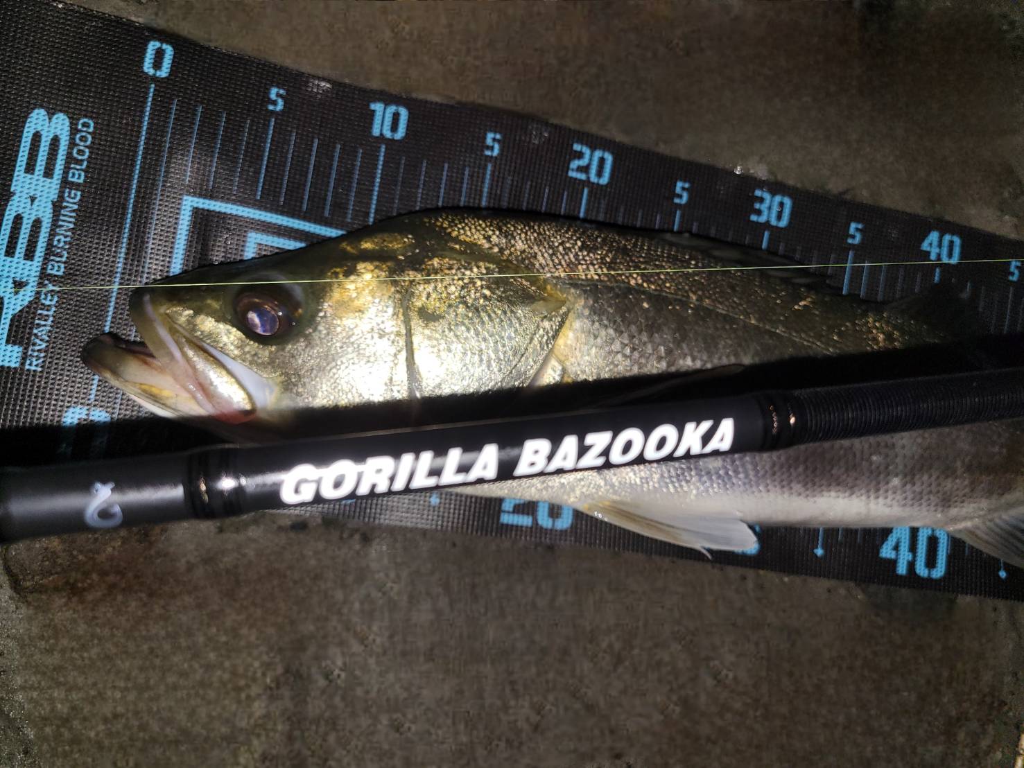 uGHlsbpNR7fJNesjqTDOC3-GtBb_sKs-bTI9F2C0jGCefhbC8ymhV0pUr6XwgLfEgbgHnNKFW8WsMK3AodRNY1zYn3QMn3Nq9Bla74wfpIFGfs2y6-BoagW2rAOk2SjBxjd32DvNFM_jZ_FnFQeU0g==