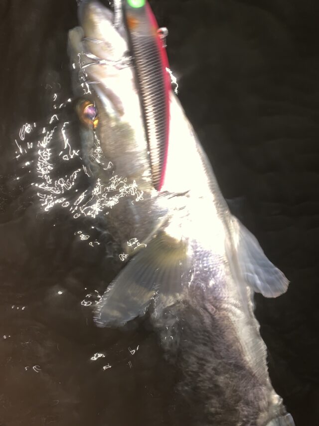 0tBdluH30Ea21jVIOlildwMBbsBzsBsZmcYsA8OKdXDbwe35KCGfQcJ6tLhFoSHKhrswKbMmjJ5LAiFhkrHLk0Cr_ErTBWy3y2o9osdAES-rFOApYkp2C3xJSO73npLYz-l8wzGQwHLkU5ioxg2GJ