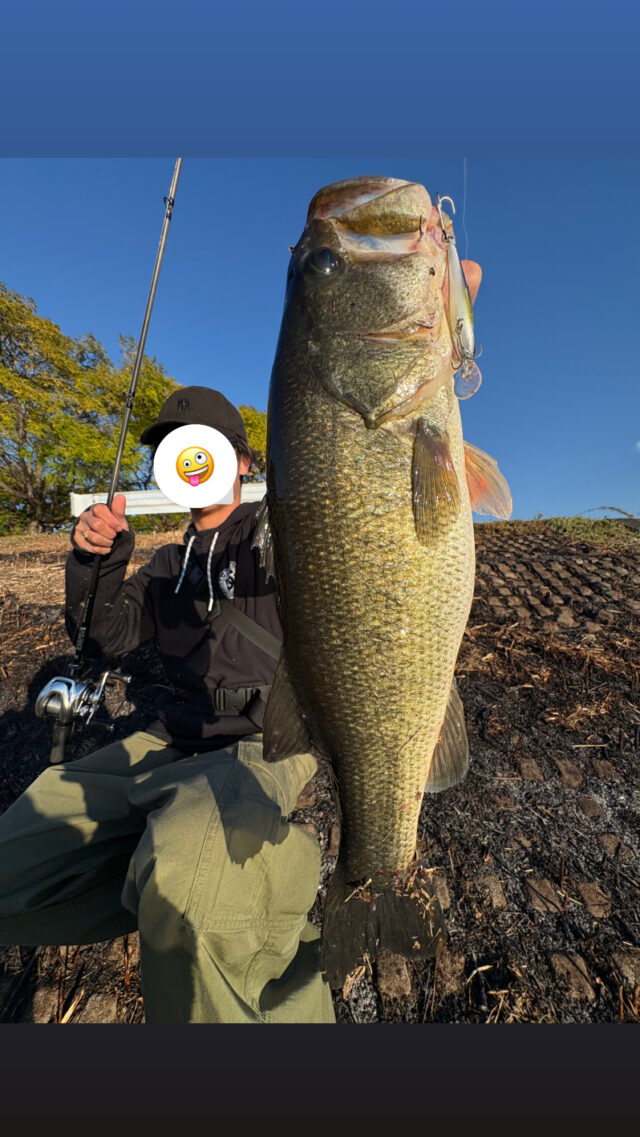 17D2D9F1-45C1-4F6E-AAFD-04F62F6E7975