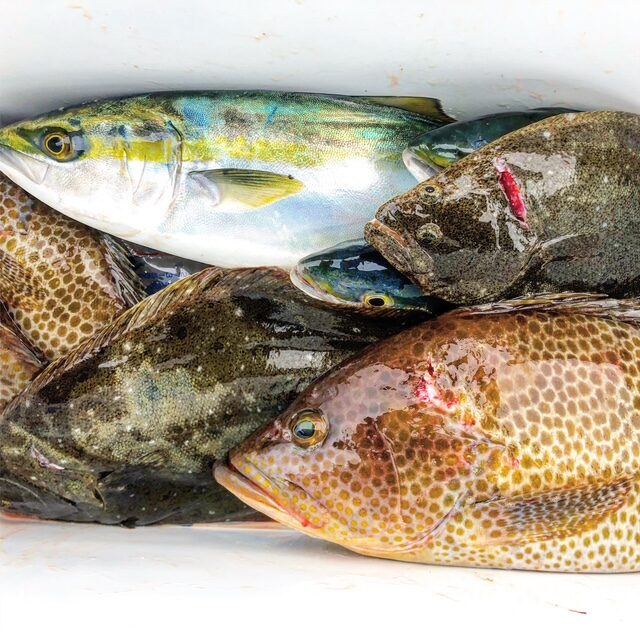 3D909F0D-FE4A-45B1-8E59-2A6470387F98